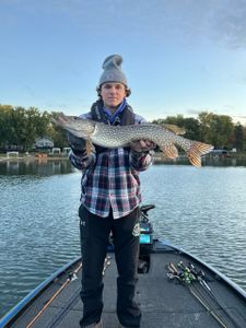 Northern Pike, a huge freshwater fish, caught at Lake Elmo