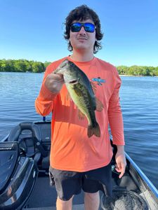 Largemouth Bass caught while fishing in MN