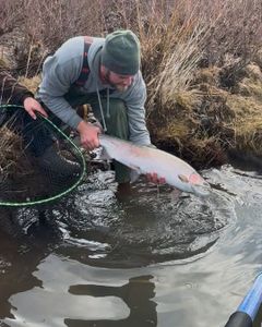 Angler fishing in the great outdoors of Oregon