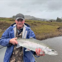 A lone rainbow trout in the waters of OR.