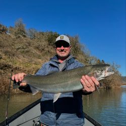 Rainbow trout caught while fishing in OR