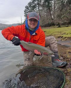 A single rainbow trout caught while fishing in Oregon