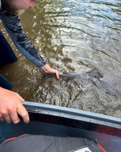 Fishing scene in Roseburg