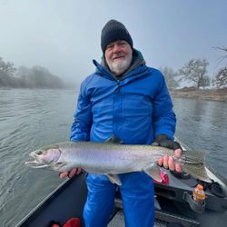 A lone rainbow trout caught while fishing in Roseburg