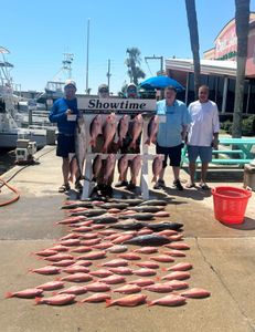 Impressive catch of a king mackerel fish measuring 31 inches