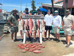7 Mutton Snapper fish caught in FL