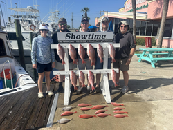 8 sheepshead fish caught while fishing in Panama City Beach