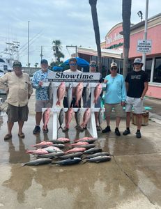 4 blue runner fish caught on fishing trip in Panama City Beach