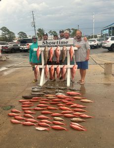 6 people fishing for 3 big fish at Panama City Beach