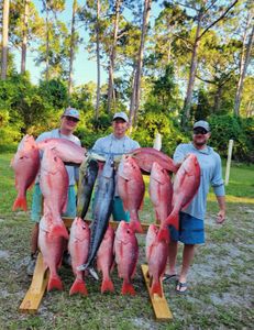 7 fish caught while fishing in Panama City Beach