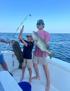 Two large gag grouper fish caught during a fishing trip in Panama City Beach