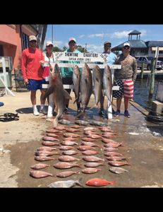 5 greater amberjack fish caught by a group of 5 people in Panama City Beach