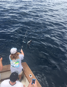 Trolling with the crew in Panama City Beach