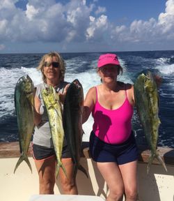 4 Mahi Mahi fish caught in FL