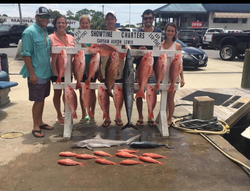 10 wahoo fish and blacktip sharks caught fishing in FL