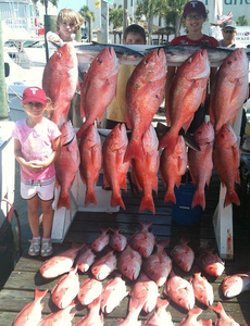 Siblings Vibrant Fish on Panama City Beach Charter
