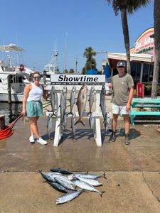 Three Wahoo fish caught while fishing in Panama City Beach