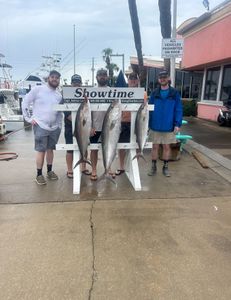 Three yellowtail amberjack, a great catch at Panama City Beach