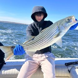 sandy hook bay fishing Striped Bass Trophy