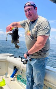 Black Sea Bass: Explore NJ's Finest Fishing Spots