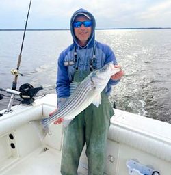 New Jersey Striped Bass