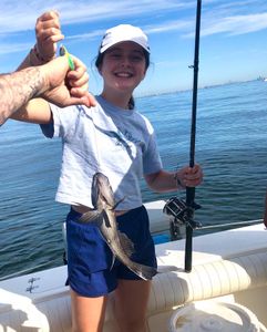 Sea Bass bliss: fishing with a splash!