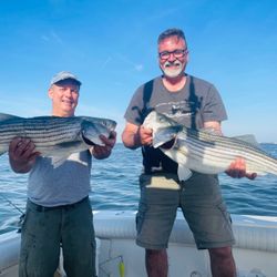 Stripers are still moving in and out of the bay!  