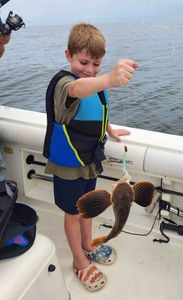 Little Angler with a Sea Robin on the hook! 