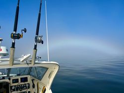 A late morning Fogbow