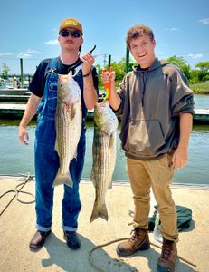 Striper frenzy: the thrill of fishing in NJ!