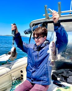 Two ballan wrasse and sea bass fish caught fishing on Port Monmouth Road