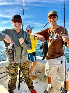 Two sea bass caught during a fishing trip in NJ
