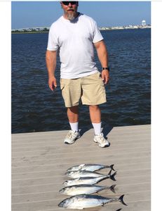 4 Blackfin Tuna fish caught on Port Monmouth Road