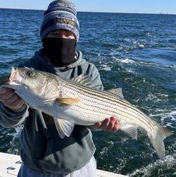 Striped bass measuring 23 inches, caught by 2 people while fishing at Port Monmouth Road