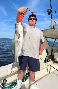 Striped Bass Escapades!