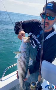 Striped Bass Fever: Where Every Cast Counts in NJ!