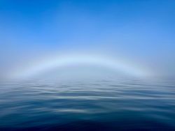 Capturing Rainbows: Nature's Beautiful Gift