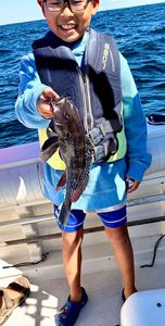 Fishing for sea bass at Port Monmouth Road