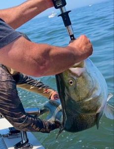 Fishing in New Jersey