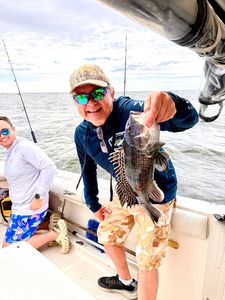 Fishing for sea bass at Port Monmouth Road