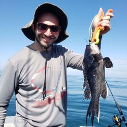 Fishing on Port Monmouth Road with a 14-inch sea bass