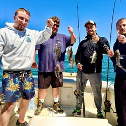 Four sea bass caught on Port Monmouth Road