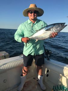 A Little Tunny fish caught during a fishing trip at Port Monmouth Road
