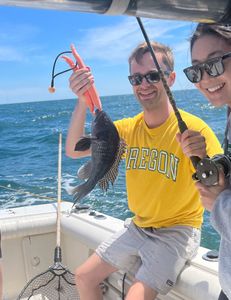A single sea bass fish caught on a fishing trip at Port Monmouth Road