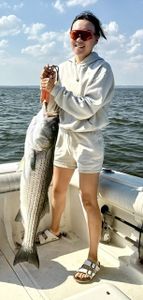 Striped bass catch held on fishing boat in Port Monmouth Road NJ waters
