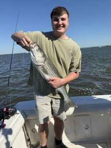 Striped bass caught fishing on boat in Port Monmouth Road NJ waters