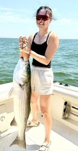 Striped bass caught fishing in Port Monmouth Road NJ waters from boat