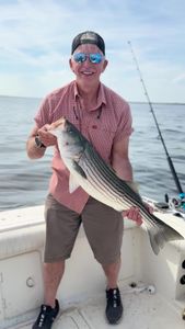Striped bass catch on fishing boat in Port Monmouth Road NJ waters