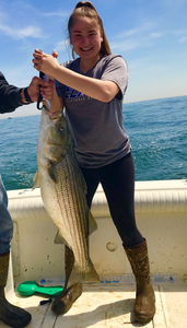 Striped bass caught fishing in Port Monmouth Road NJ waters