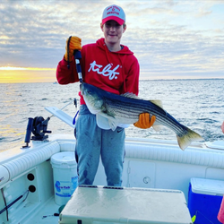 Striped bass caught fishing on boat in Port Monmouth Road NJ waters